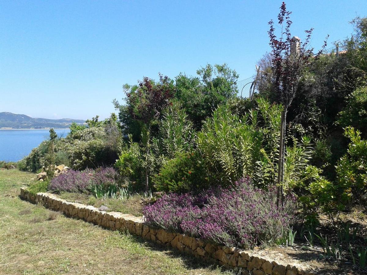 Marvelous Sea View Eco Apt Amulianí Kültér fotó