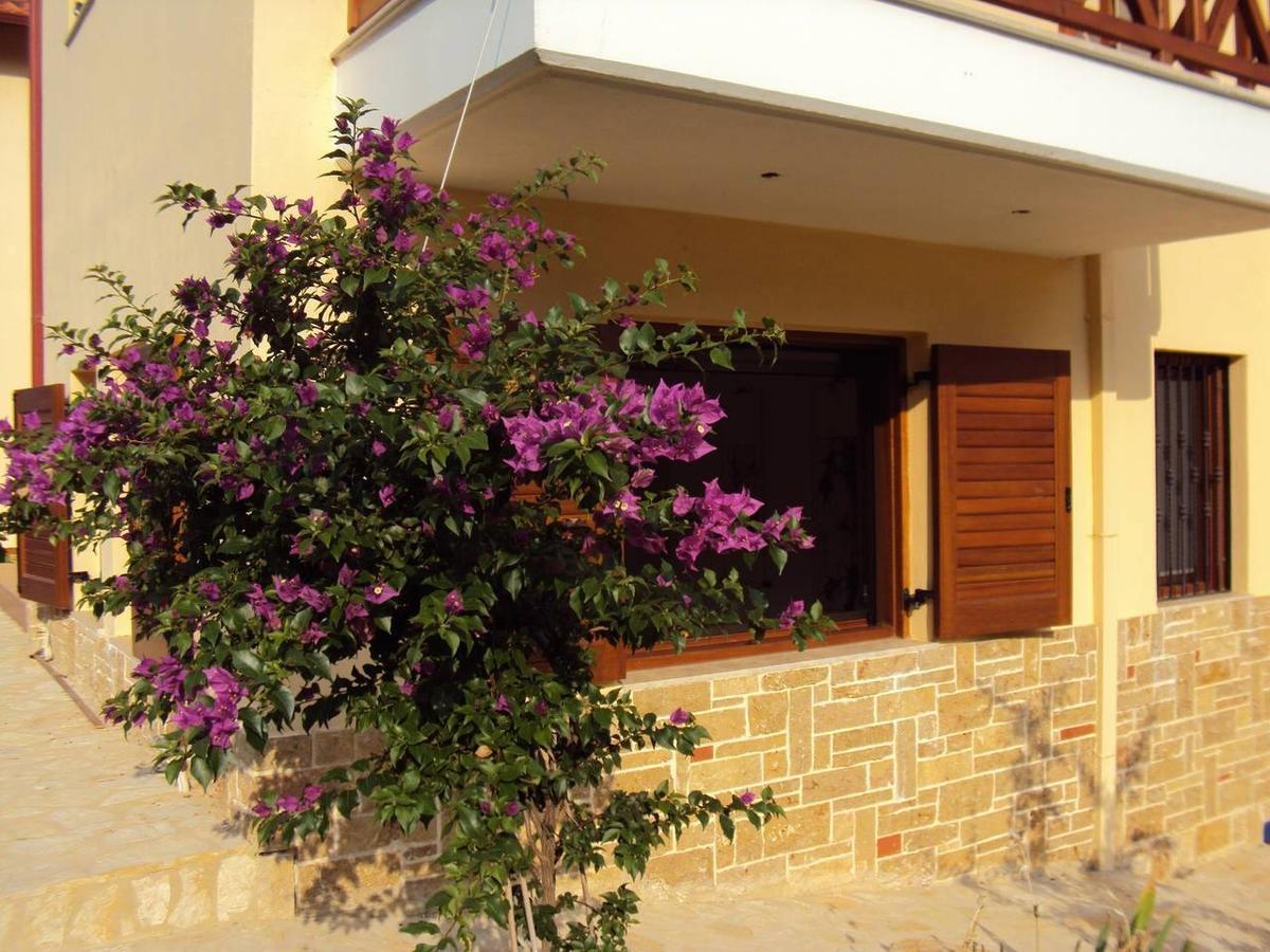 Marvelous Sea View Eco Apt Amulianí Kültér fotó
