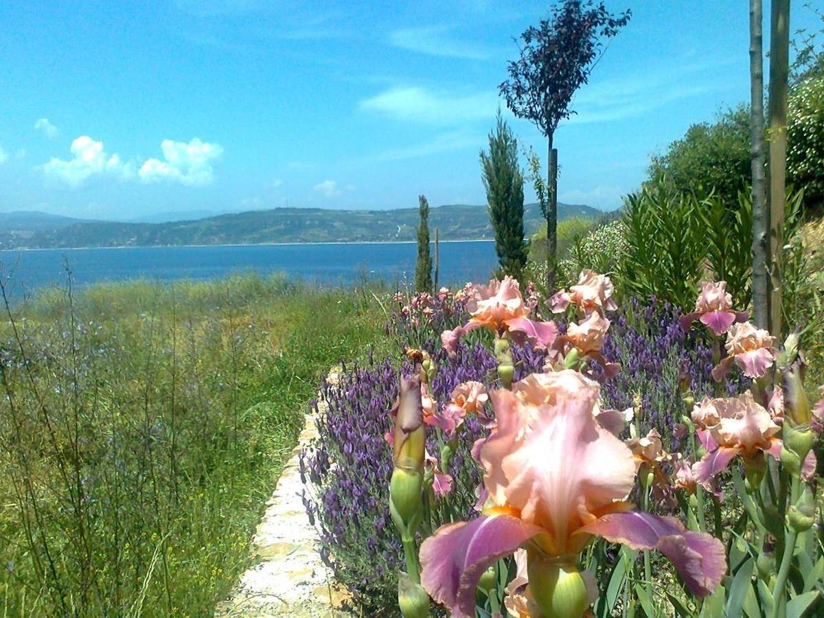 Marvelous Sea View Eco Apt Amulianí Kültér fotó